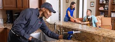 Professional Pest control in Northville, MI